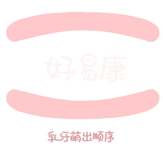 尚佳專業(yè)月嫂丨關(guān)于寶寶長牙問題，都在這里！