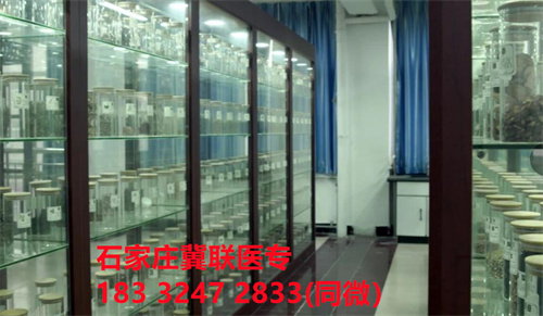 中專(zhuān)中藥專(zhuān)業(yè)能考哪些證書(shū)？