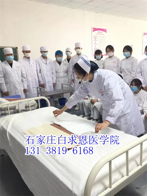 河北對(duì)口高考和對(duì)口單招有什么不同？