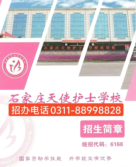 2026年秋招|石家莊天使護(hù)士學(xué)校招生簡(jiǎn)章