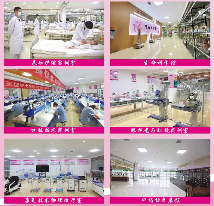 2026年春季石家莊天使護士學(xué)校招生簡章