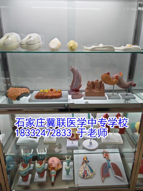 石家莊冀聯(lián)醫(yī)學(xué)中專學(xué)校護(hù)理學(xué)習(xí)什么？接觸解剖嗎？