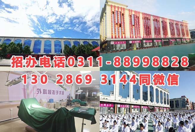 石家莊天使護士學校2026年招生分數線是多少？